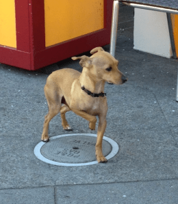 Screen Shot 2013-02-27 at 12.40.59 AM